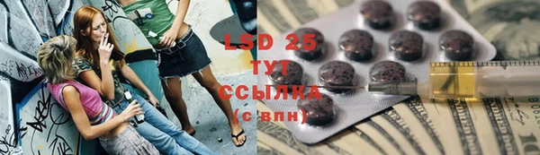 крисы Бронницы