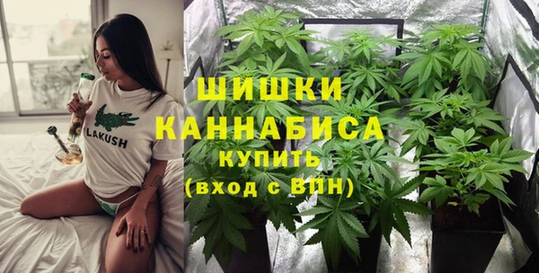 гидра Бородино