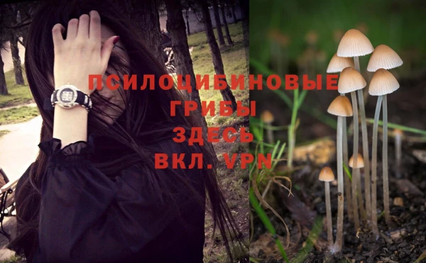 гидра Бородино
