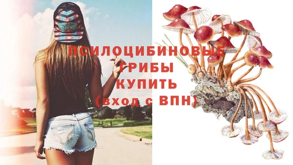 гидра Бородино
