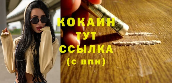 гидра Бородино