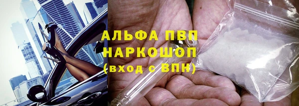 гидра Бородино