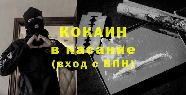 гидра Бородино