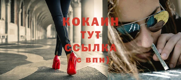 прущие грибы Белокуриха