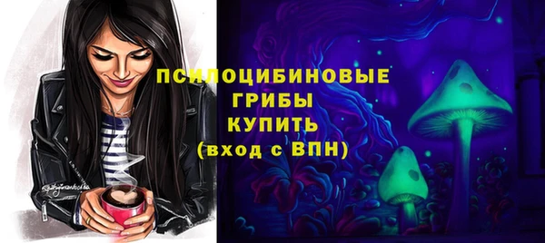 крисы Бронницы