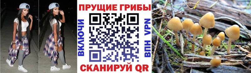 Галлюциногенные грибы Magic Shrooms  Дрезна 